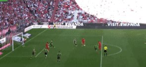 1715529133330017249.gif IMG_3004.gif