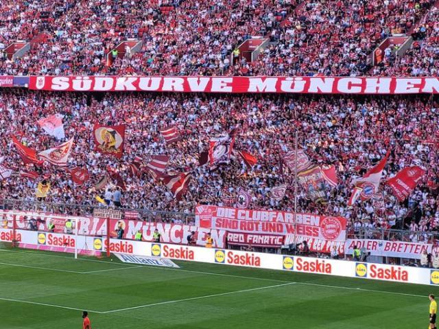 1715530136514040587.jpg 1715530118070.jpg